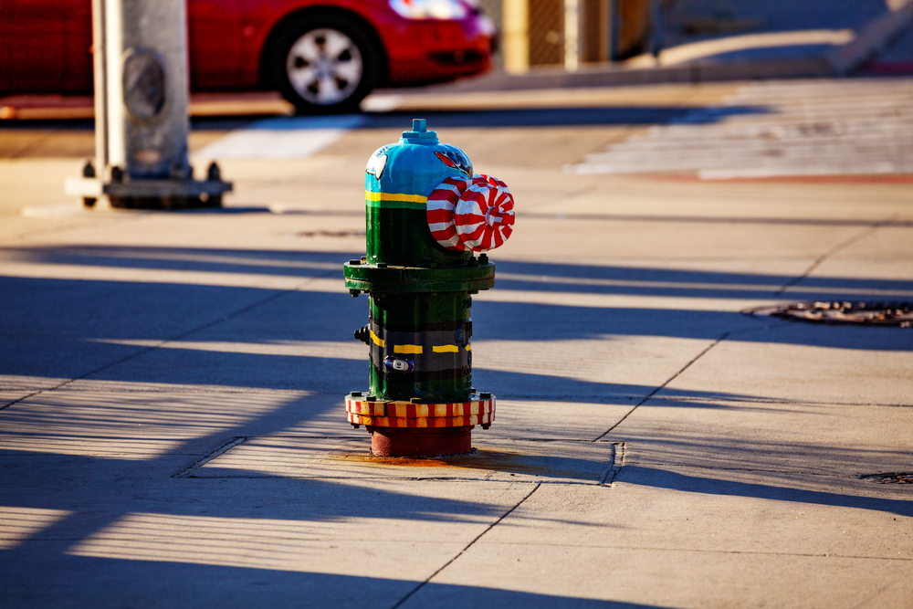 An image of a painted fire hydrant